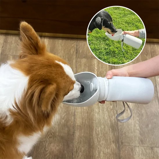 Gourde chien pékinois qui boit et chien noir  qui boit en mortaise