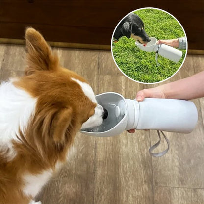 Gourde chien pékinois qui boit et chien noir  qui boit en mortaise