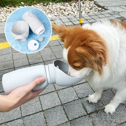 Gourde chien pekinois qui boit 