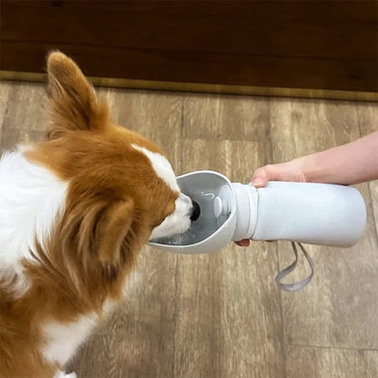 Gourde chien pekinois qui boit 
