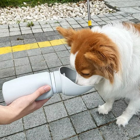 Gourde chien pliable pekinois qui boit lors de sa promenade urbaine