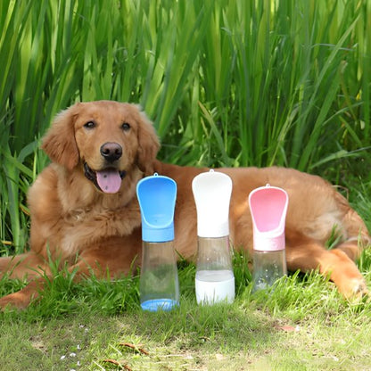 Gourde chien golden au repos 
