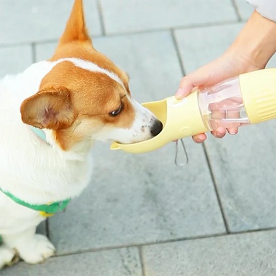 Gourde pour chien ballade jaune