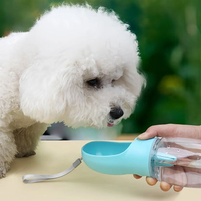 Gourde pour chien caniche turquoise