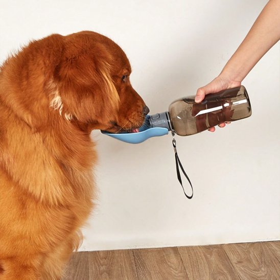 Gourde pour chien​ golden boit dans la coupelle bleu