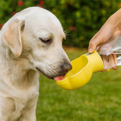 Gourde pour Chien gros chien qui boit dans sa gourde jaune