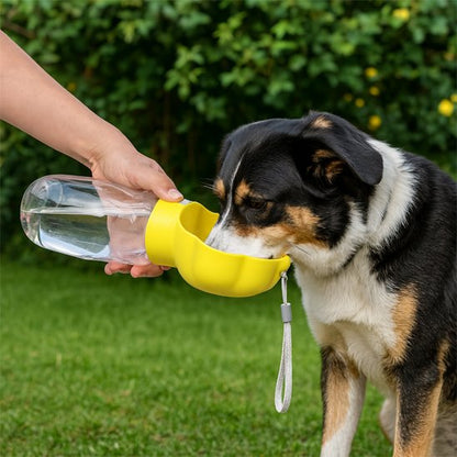 Gourde pour Chien moyen qui boit gourde jaune