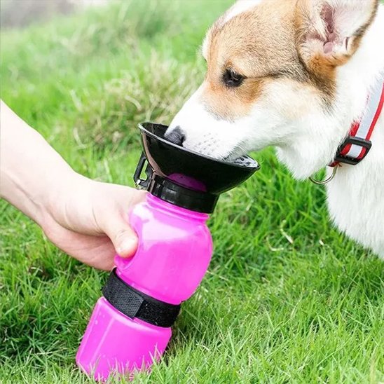Gourde pour chien​ pressale couleur rose