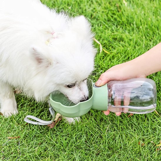 Gourde pour Chien petit chien pekinois qui boit dans gourde verte