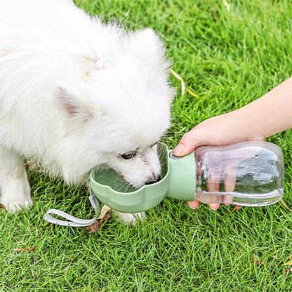 Gourde pour Chien petit chien pekinois qui boit dans gourde verte