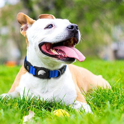 GPSFido chien dans l'herbe avec collier GPS pour chien