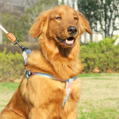 Harnais 3 points chien golden