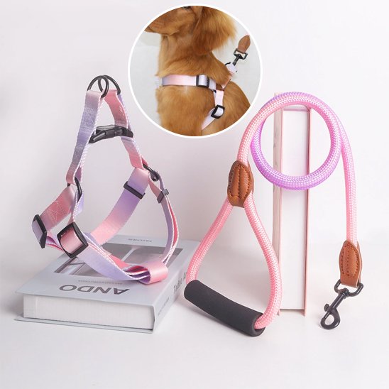 Harnais 3 points chien rose et lavande