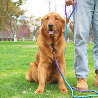 Harnais 3 points chien turquoise et violet
