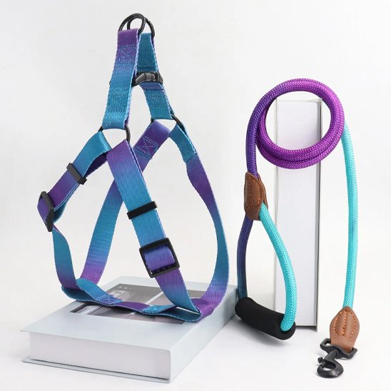 Harnais 3 points chien turquoise et violet