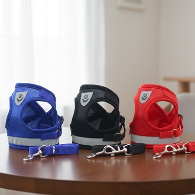 Harnais chien couleurs