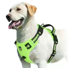 harnais chien pour les sentiers couleur lime