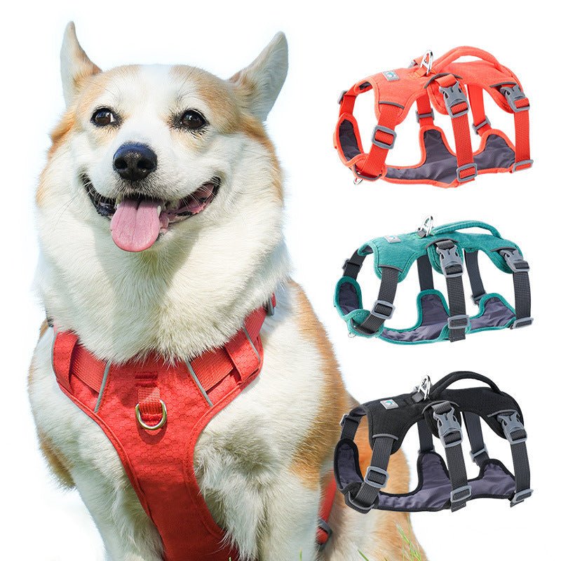 harnais chien urgence couleurs