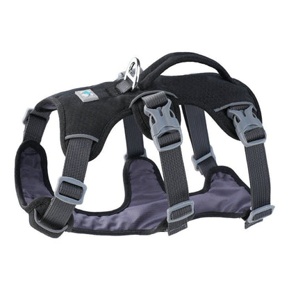 harnais chien urgence noir