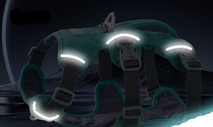 harnais chien reflective jour nuit