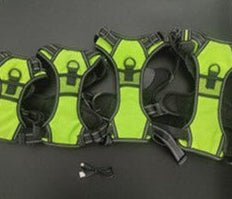 harnais lumineux chien 