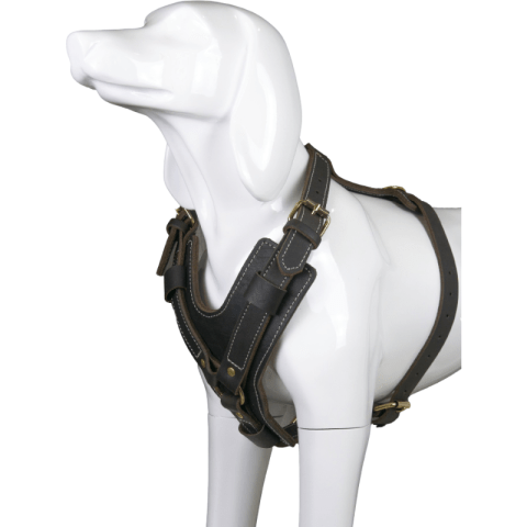 Harnais noir cuir chien