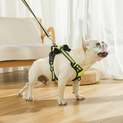 Harnais pour chien Complice-Zen en jaune sur chien bouledogue blanc