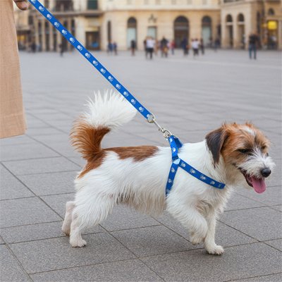 Harnais pour Chien kit Debu-Zen version bleu
