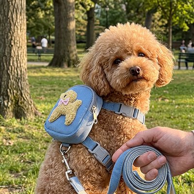 Harnais pour chien mini sac bleu