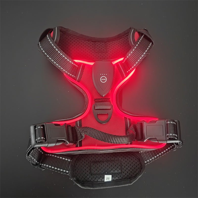 harnais rouge lumineux