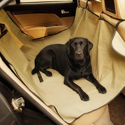 Housse voiture chien arriere
