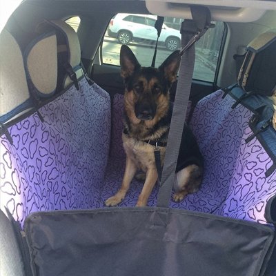 Housse voiture chien calor violet berger