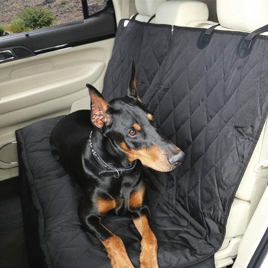 Housse voiture chien confortable