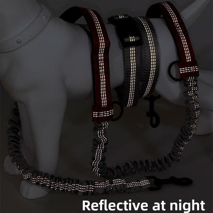 Laisse pour chien | Le Canicross ™