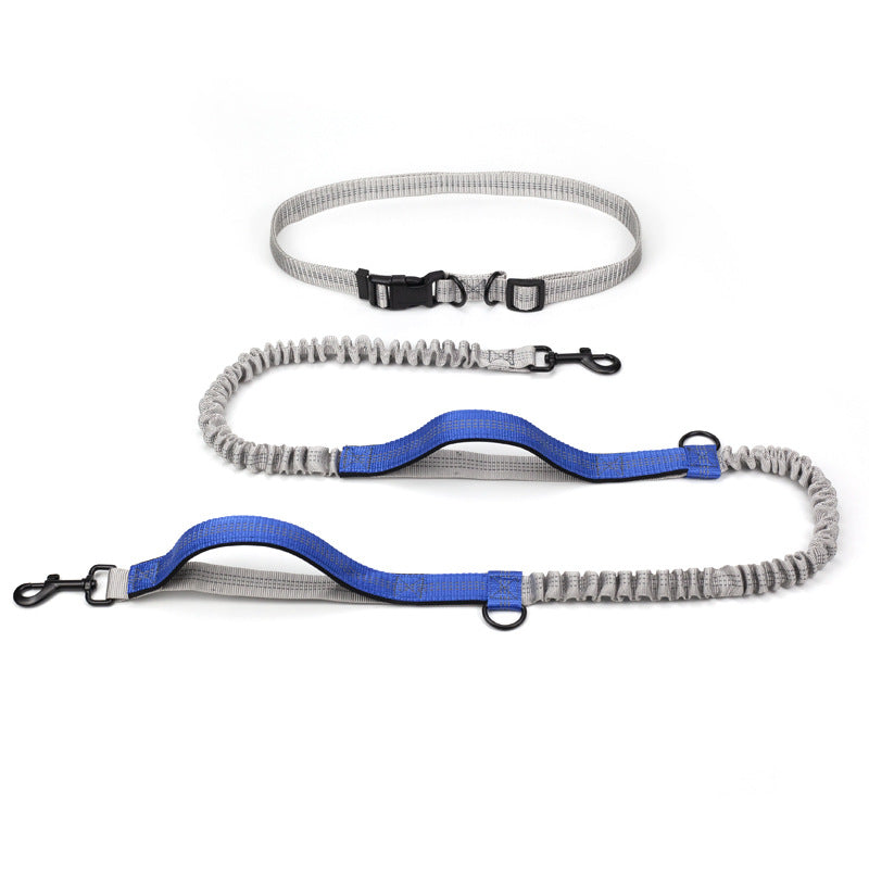 Laisse pour chien | Le Canicross ™
