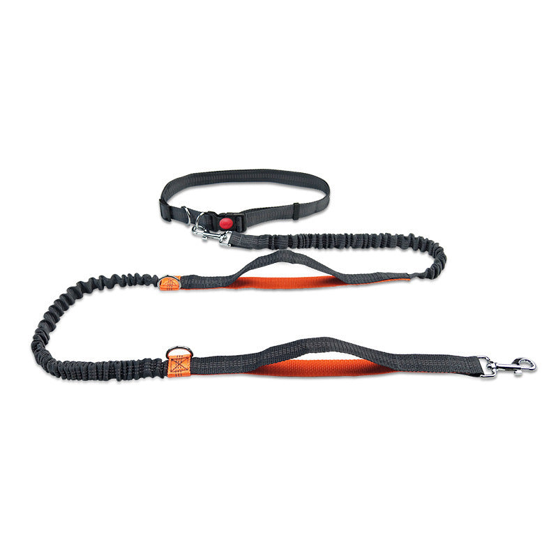Laisse pour chien | Le Canicross ™