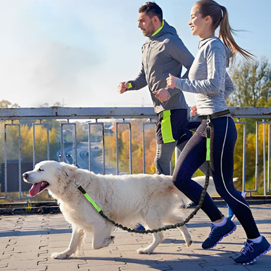 Laisse pour chien | Le Canicross ™