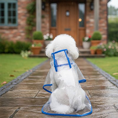 Imperméable petit chien​ de dos