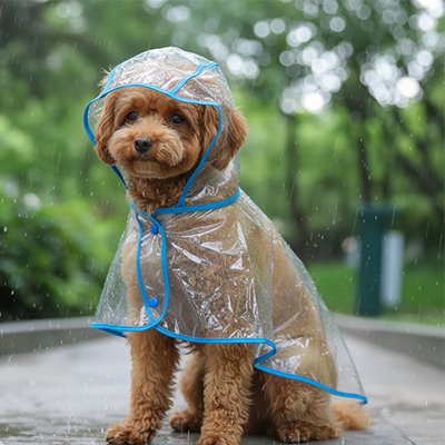 Imperméable pour chien​ bien relaxe et au sec