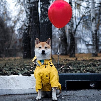 Imperméable pour chien​ parc jaune