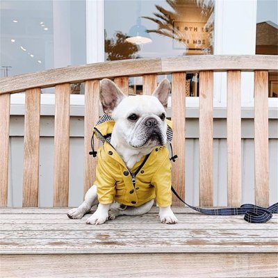 Imperméable pour chien​ promenade jaune