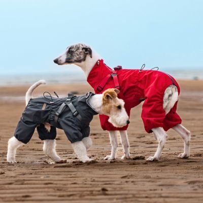 Imperméable pour chien​ Ultra Chic deux chien