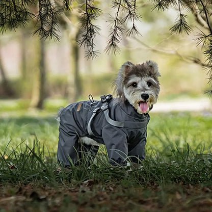 impermeable pour chien ultra chic petit chien 