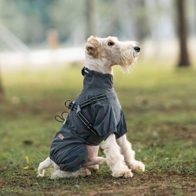 Imperméable pour chien​ Ultra Chic Schnauzer noir