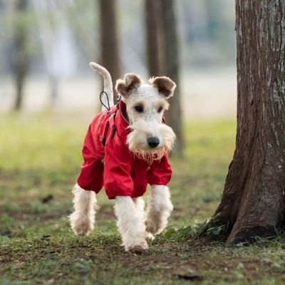 Imperméable pour chien​ Ultra Chic Schnauzer rouge