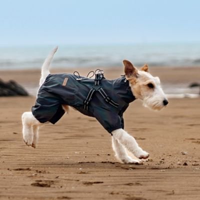 Imperméable pour chien​ Ultra Chic Schnauzer