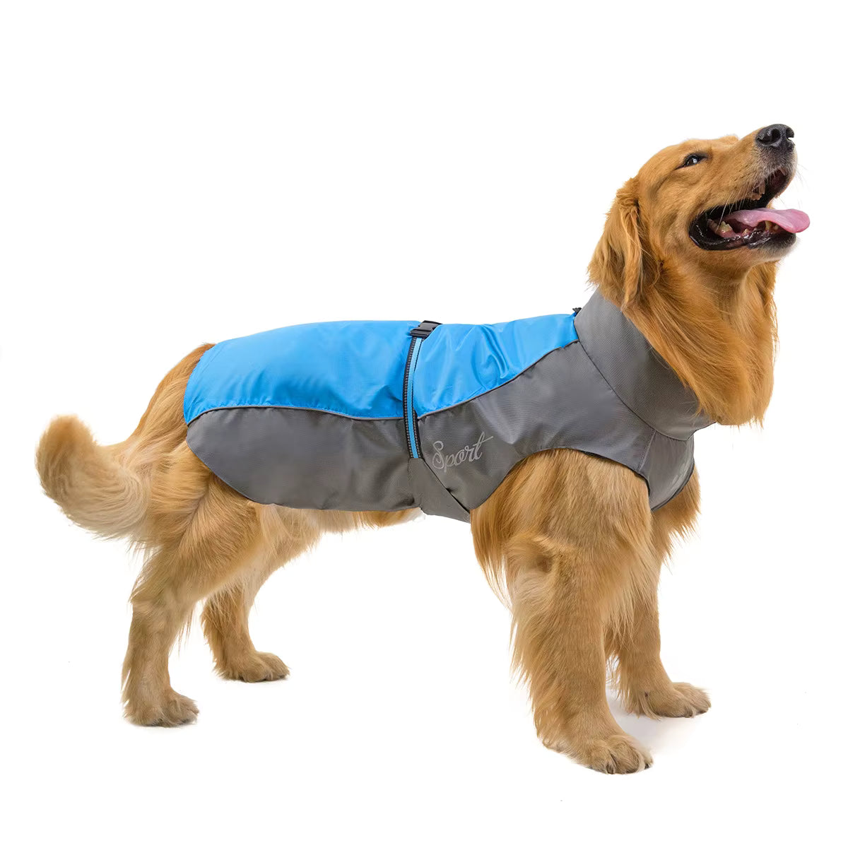 impermeable pour grand chien bleu