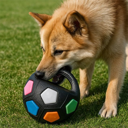 Jouet Chien Boulazero noir jeu