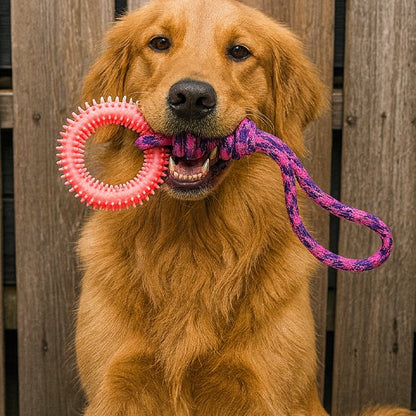 Jouet chien Corde-anneau Golden action