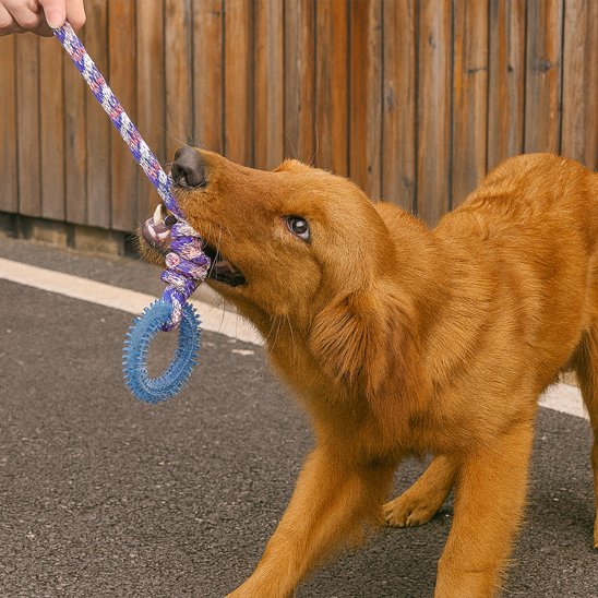 Jouet chien Corde-anneau golden jeu